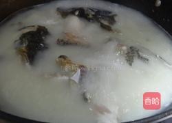 鱼头豆腐汤的做法图解4