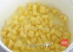 苹果酱的做法图解6