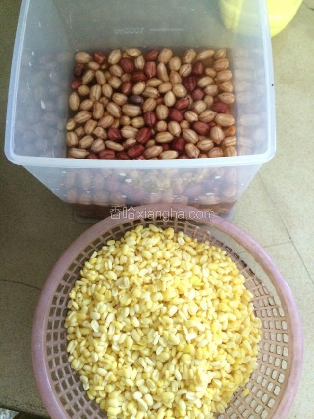 花生无壳绿豆红豆也提前泡好…