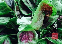 炒苋菜的做法图解1