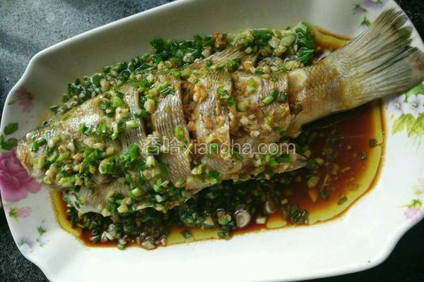清蒸鲈鱼