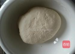锅贴的做法图解2