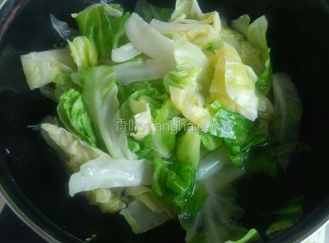 圆白菜用开水烫一下，烫软，用凉水过一遍，把水沥干