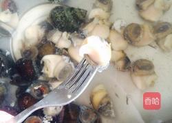 红烧蜗牛肉的做法图解2