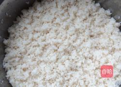 甜醅子的做法图解7