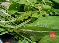 海白菜麦饭的做法图解1