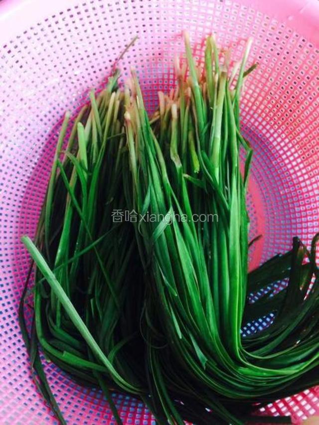 韭菜洗净 控干水