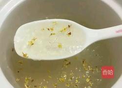 杨梅燕窝，冰冰凉～的做法图解11