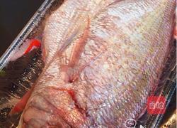 干烧鯛魚的做法图解1