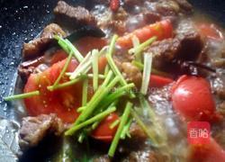 西红柿烧牛腩的做法图解5