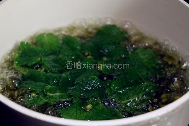 将绿豆薄荷放入锅中，放一倍多的水烧开。