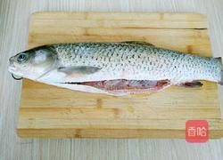 酸菜鱼的做法图解1