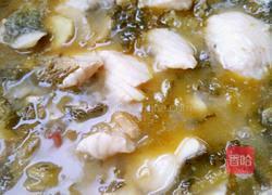 酸菜鱼的做法图解15