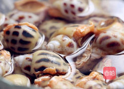 香辣酱爆花螺的做法图解1