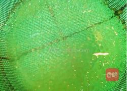 椰奶水果西米露果冻的做法图解4