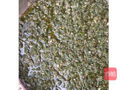 青辣椒酱的做法图解4