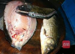 醉鱼的做法图解1