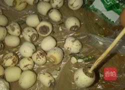 木瓜银耳汤的做法图解2