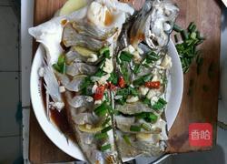 清蒸白鱼的做法图解5