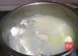 鲫鱼豆腐汤的做法图解4