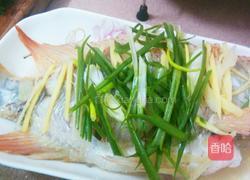 香豉蒸罗非鱼的做法图解4