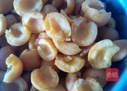 黄杏果酱的做法图解3