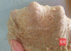 百分百全麦核桃面包的做法图解1