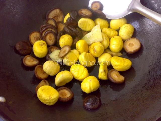 热锅，下油爆香姜片后加入栗子、香菇，翻炒均匀。