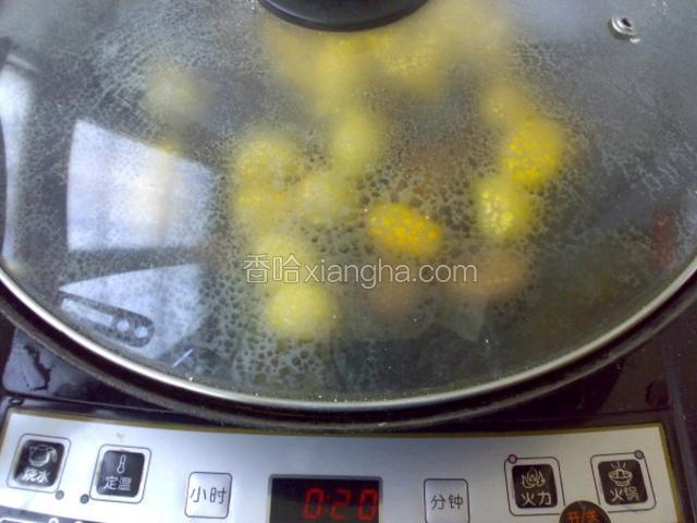 4. 加盖，小火煮30分钟以上。