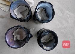 自制黄豆芽（饮料瓶）的做法图解5