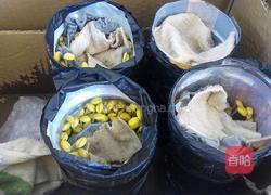 自制黄豆芽（饮料瓶）的做法图解7