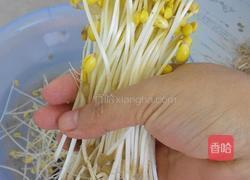自制黄豆芽(饮料瓶)的做法图解9