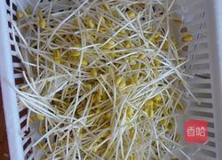 自制黄豆芽(饮料瓶)的做法图解10