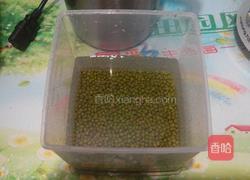 自制绿豆芽的做法图解1