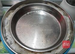 自制绿豆芽的做法图解5