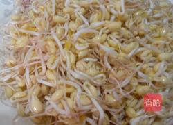 自制绿豆芽的做法图解6