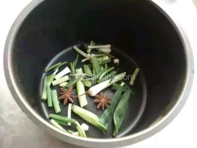 压力锅底铺一层葱段，放2粒八角。