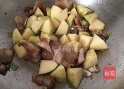 茄子炖土豆的做法图解6