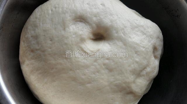 发酵2.5倍大，摁下去不回缩发酵完成！