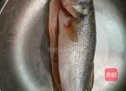 油皇鲈鱼的做法图解3