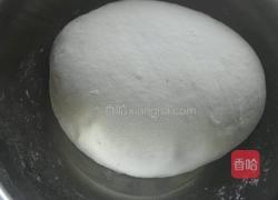 牛肉馅饼的做法图解8