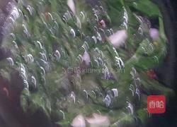 炒血皮菜的做法图解3