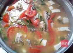 番茄白豆腐鱼头汤的做法图解5
