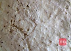 南瓜花卷。的做法图解3