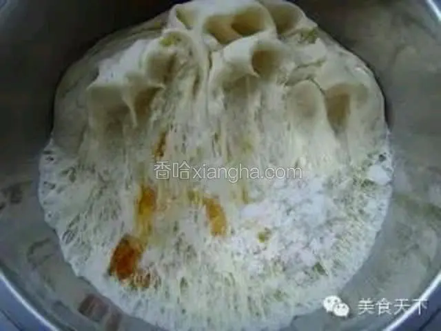 3、发好的面团中加香油、白糖继续揉搓。

