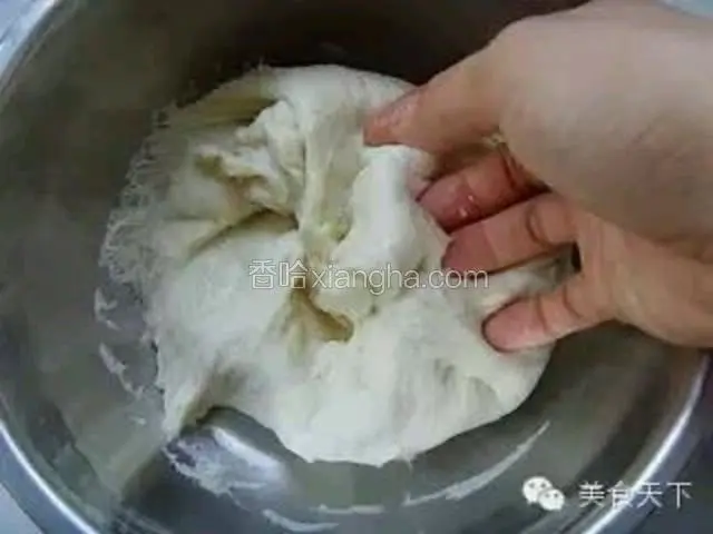 4、搓至面粉柔软适中，包上保鲜膜发酵至一定程度时，再搓匀候用。