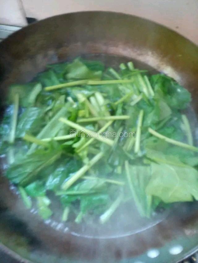 菠菜用开水燎熟，捞出后，沥干水份