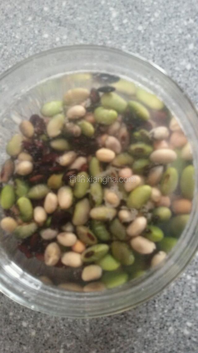 豆浆(黑豆，黄豆，豌豆，青豆)泡一夜用豆浆机打制