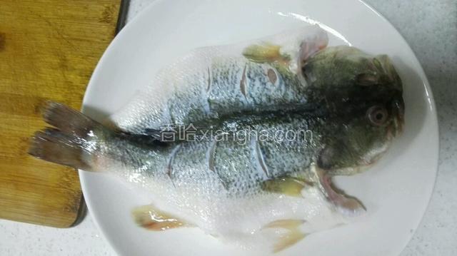 先将鲈鱼打理干净，从腹部中间剥开，在肚子肉厚的地方切几条花刀，以便入味！
