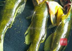 昂刺鱼汤的做法图解7